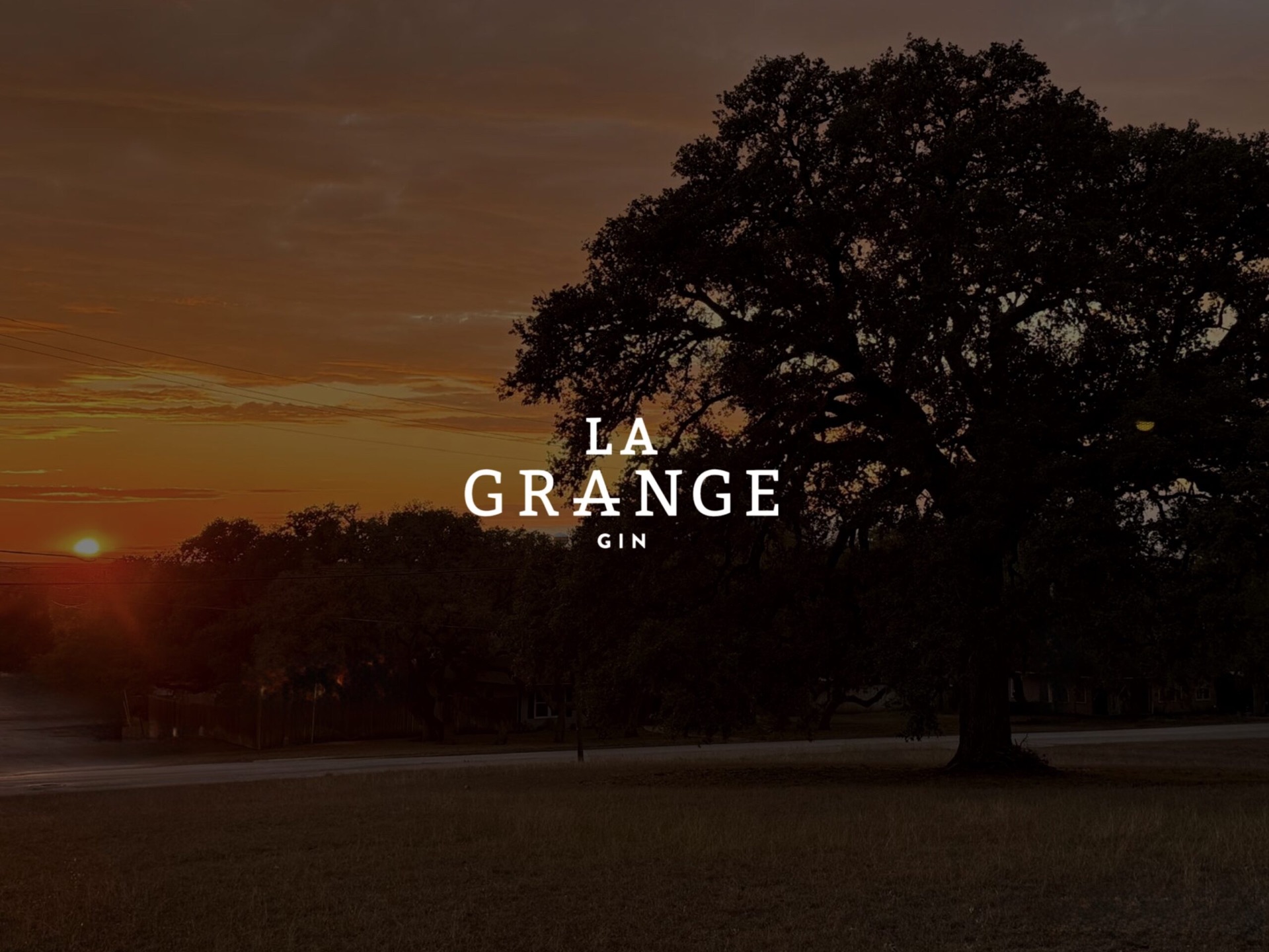 Sunset behind a large live oak in La Grange with the La Grange Gin wordmark